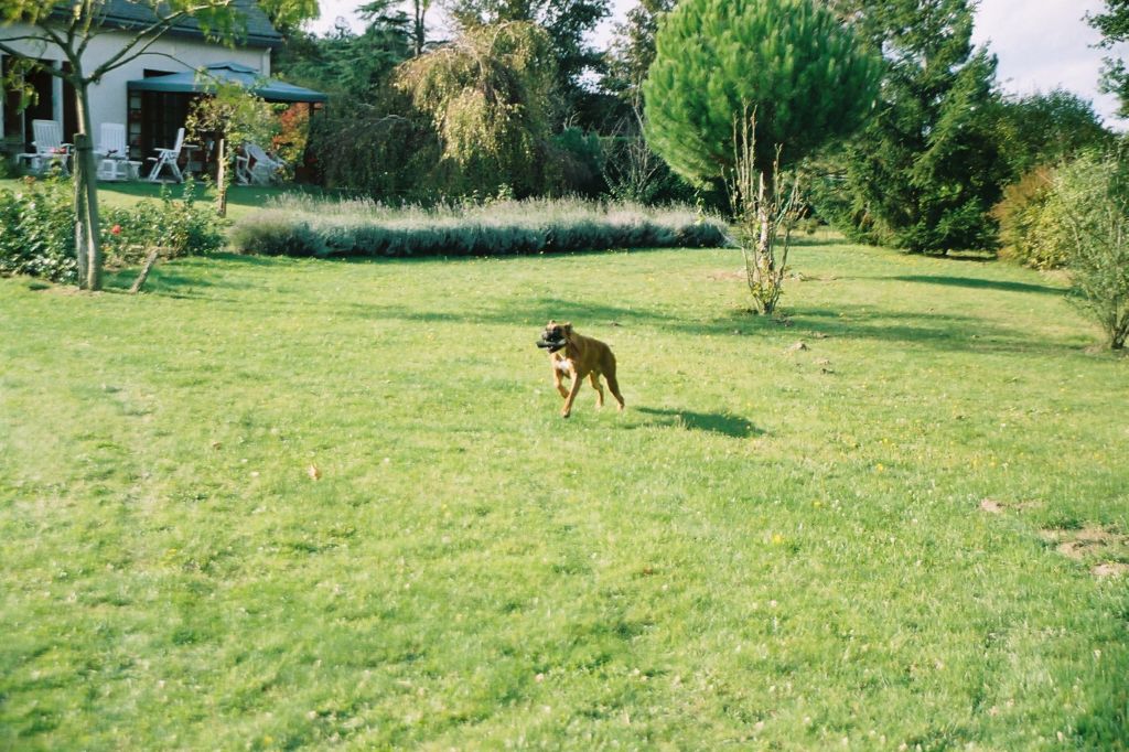 U'zia des trois chataigniers